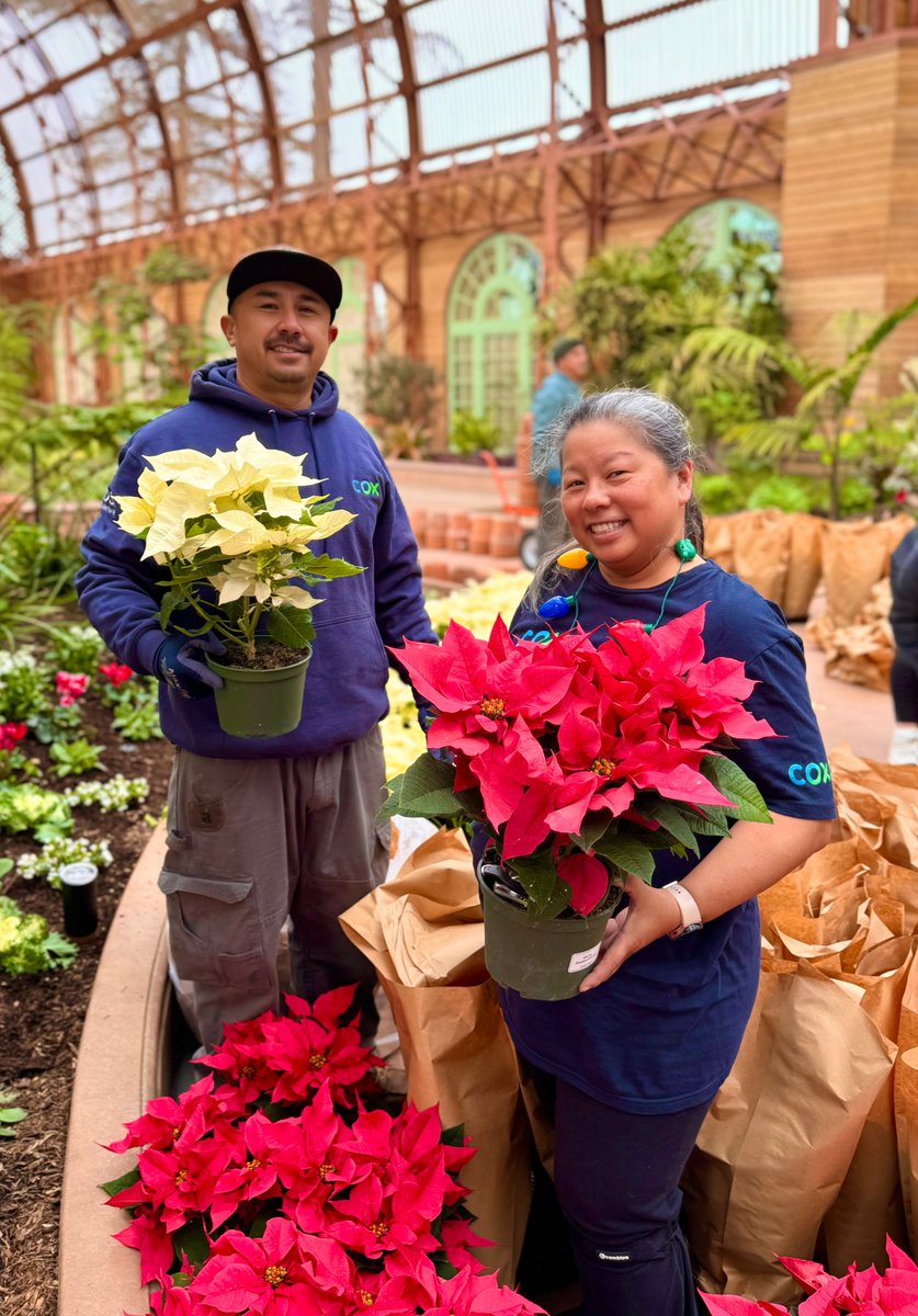 CoxCalifornia's tweet photo. .@CoxComm volunteers spent their morning decking the halls with poinsettias at the newly renovated @SDBGarden. With the ribbon cut this morning, doors are open to the public during @CityofSanDiego December Nights @BalboaPark! #CoxConserves https://t.co/cji5uz7XQO