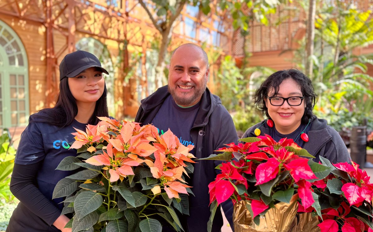 CoxCalifornia's tweet photo. .@CoxComm volunteers spent their morning decking the halls with poinsettias at the newly renovated @SDBGarden. With the ribbon cut this morning, doors are open to the public during @CityofSanDiego December Nights @BalboaPark! #CoxConserves https://t.co/cji5uz7XQO