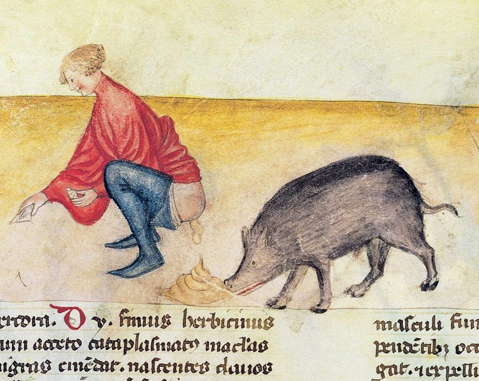 CanKente's tweet photo. @shinobu_books Pigs kept embarrasing themselves around the world. https://t.co/ioplLQmHu5