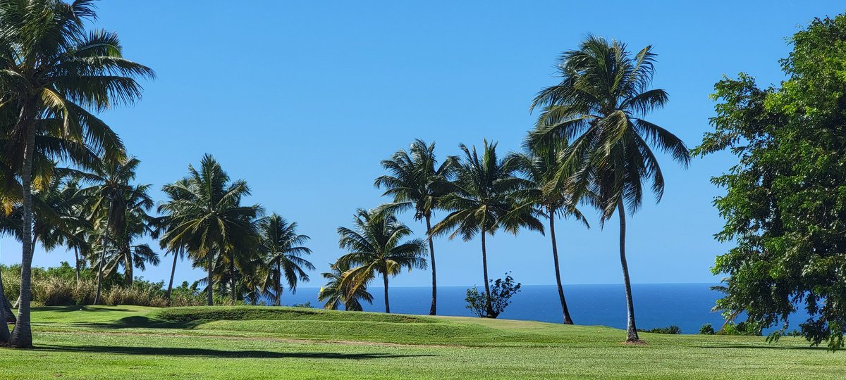 juan_orama's tweet photo. Island life! #golf #PuertoRico https://t.co/KeaYqQRnba