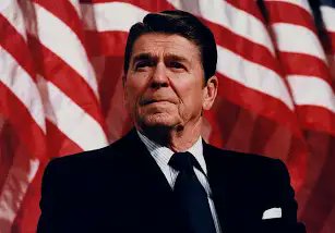 Binvolian 🏳️‍🌈🏳️‍⚧️🇵🇸 tweet media