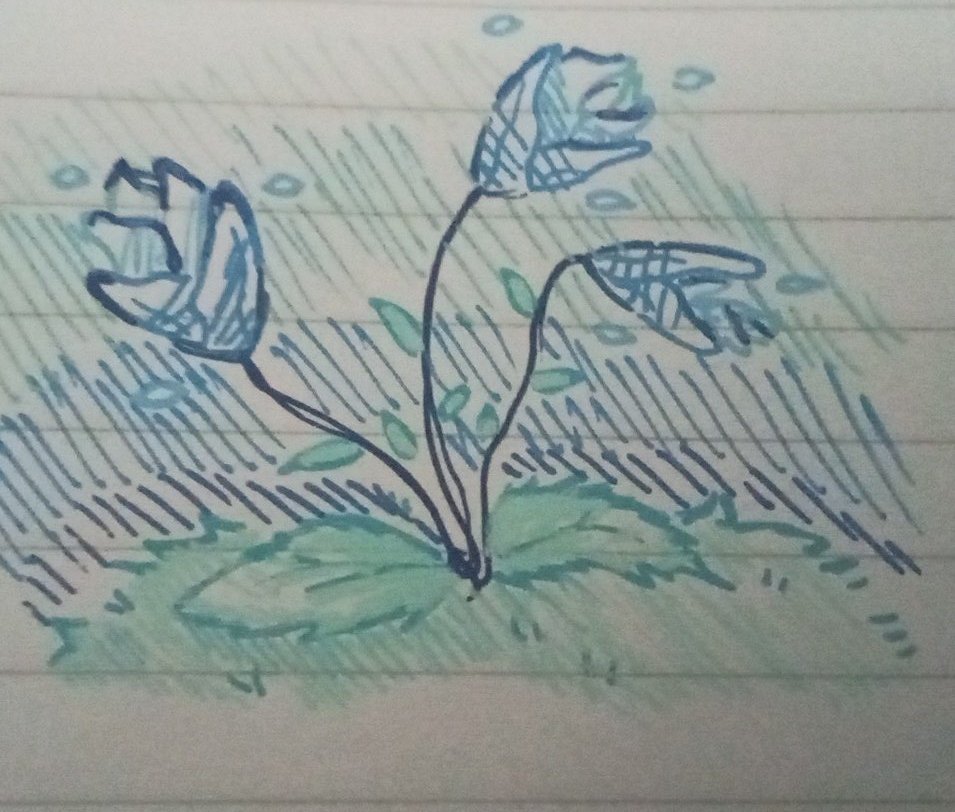 Cant wait tomorrow is my birthday:33
(I don't have idea what pic i need to use here)
#flower #birthdaygirl