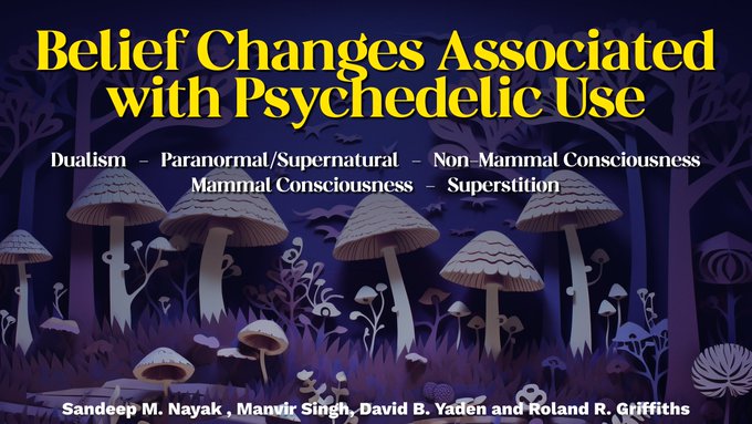 Here’s how a single psychedelic experience can transform your views on consciousness, purpose, and the universe...

Johns Hopkins researchers surveyed individuals who have used psychedelics and asked them to rate their agreement with statements Before and After their experience.