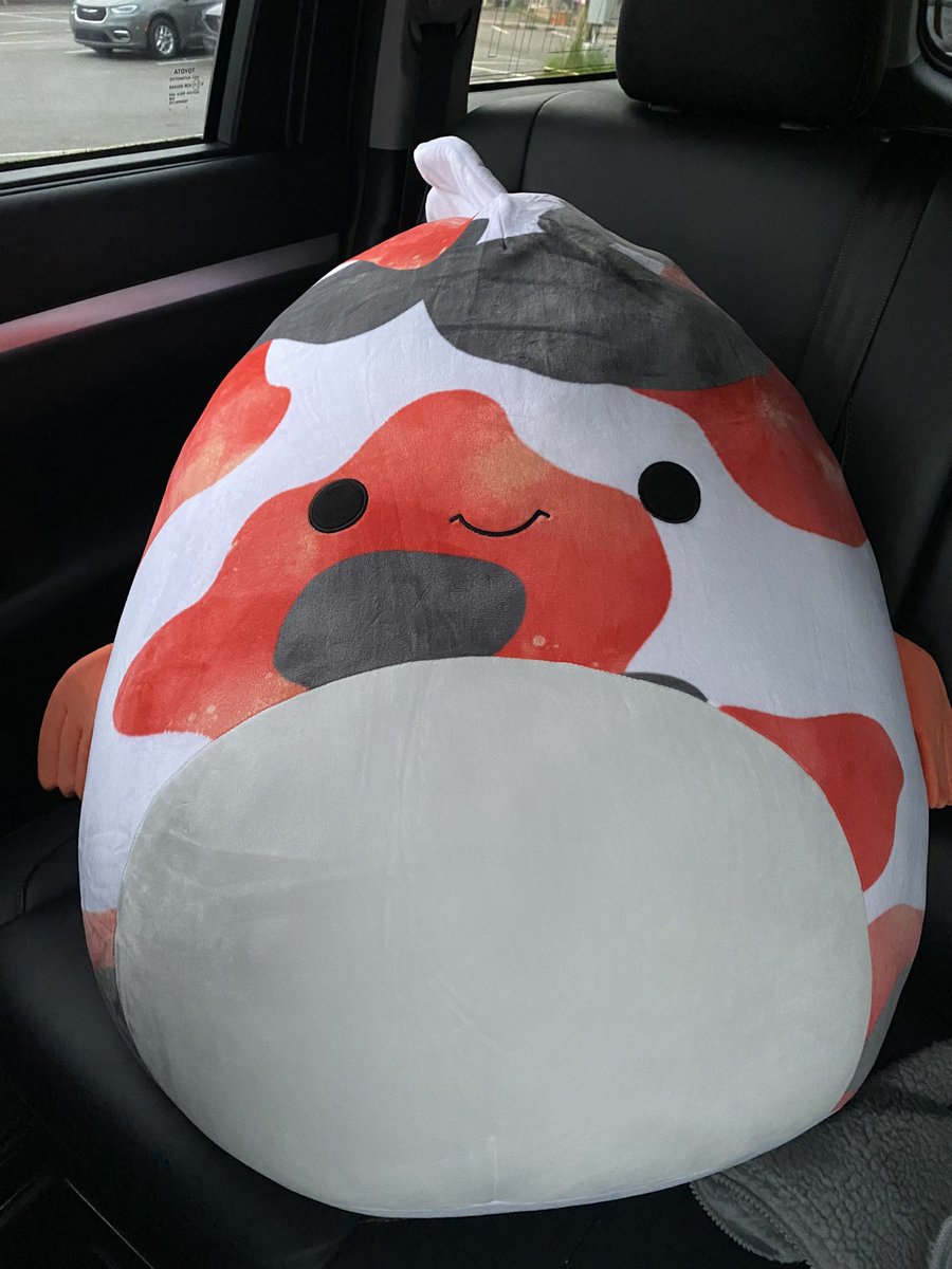 Taylor's motorcade just drove past us as we're holding this giant koi fish squishmallow 😂 #TSTheErasTourVancouver <a href="/taylornation13/">Taylor Nation</a>