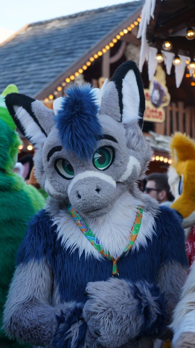I wish you all a happy #FursuitsFriday on this festive days💙