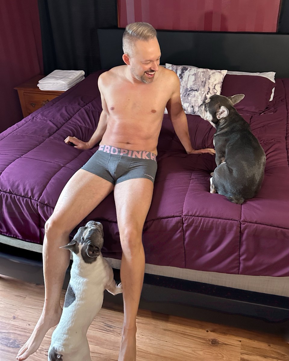 JoshRimer's tweet photo. Perfect fit, premium material… and dog approved! 🐶

Upgrade your underwear game with Pink Hero: bold style, vibrant colors &amp; all-day comfort. 💝

Build your bundle at https://t.co/evbJC5Khua and get 15% off 3, 6, or 9 packs with code JOSH15! 🏷️

#ad #mensunderwear #menwithdogs https://t.co/nQPtmJaNZh
