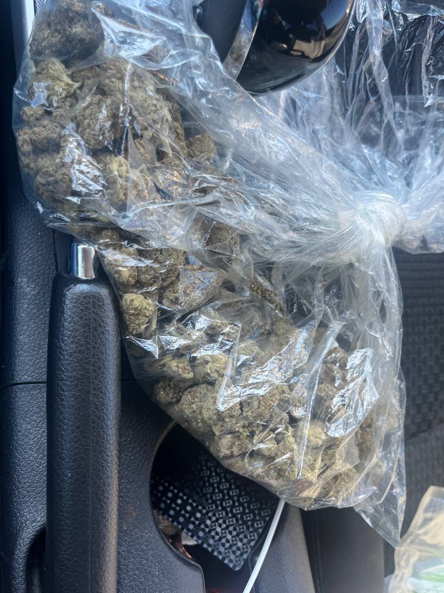 QP Mochi out the door 🏆 $250/Qp

$150/oz
$280/Qp
$350/Hp
$500/P

Strains available 
Gelato 
White Mochi
Red velvet
White runtz
Crunch berry 
London pound cake 
Acia mintz
Oreos
Zskittles
Order here▶️ t.me/TopFlavors0