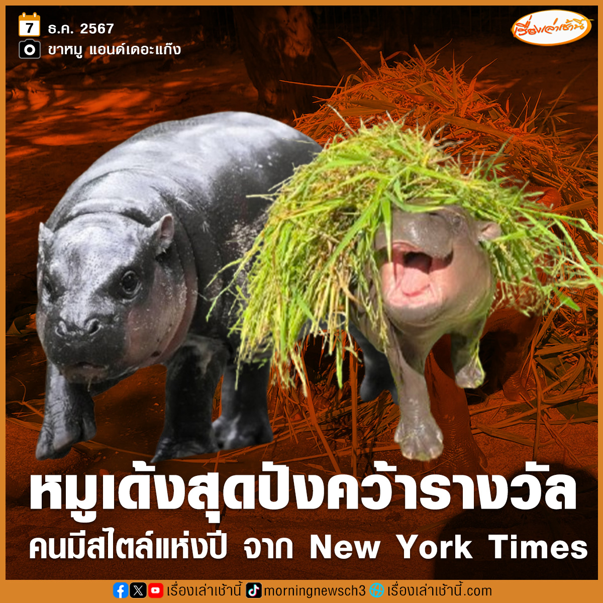 MorningNewsTV3's tweet photo. "หมูเด้ง" สุดปัง! คว้ารางวัลจากนิตยสาร New York Times หนึ่งใน 63 "คนมีสไตล์แห่งปี" พร้อมพาดหัวที่แปลเป็นไทยได้ว่า “เธอชอบงับ เธอชอบกรีดร้อง เธอผู้ขโมยหัวใจของคนทั่วโลก”

อ่านข่าว : https://t.co/qE0hSvuQ2o

#เรื่องเล่าเช้านี้ #ข่าวช่อง3
#ข่าวต่างประเทศ #หมูเด้ง #คนมีสไตล์แห่งปี https://t.co/MbNamTLQIX