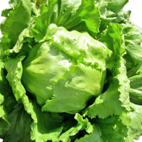 Mudumenwemari..Int'l tweet media