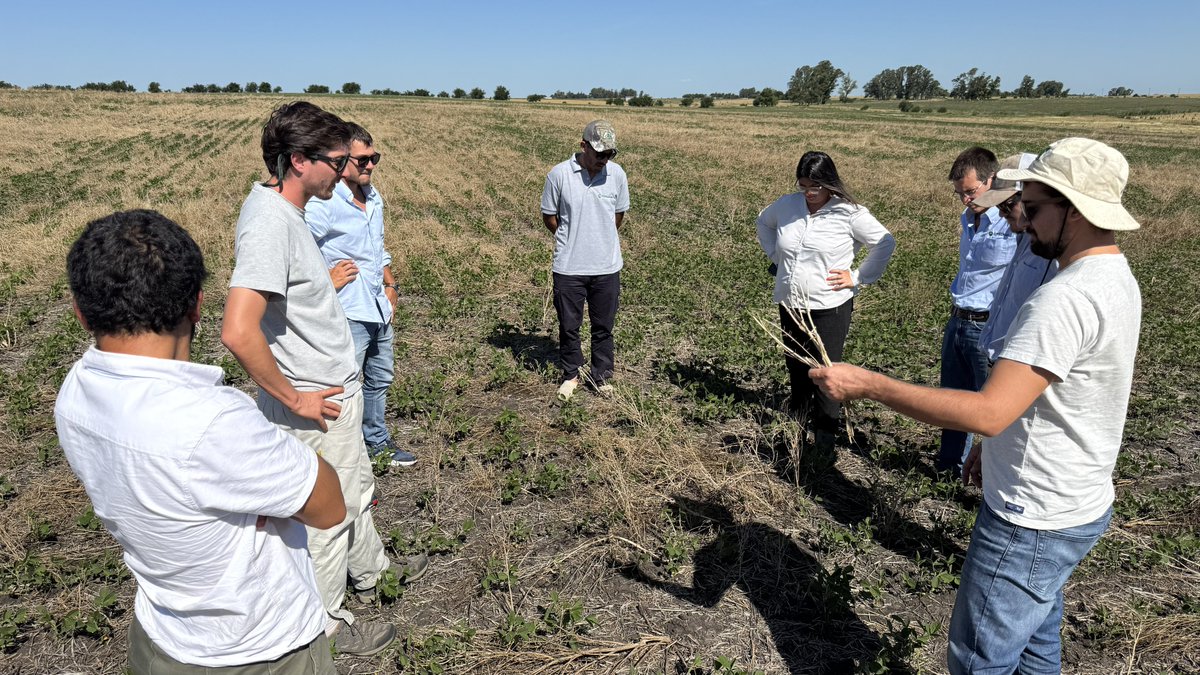 Marcelo Fraga tweet media