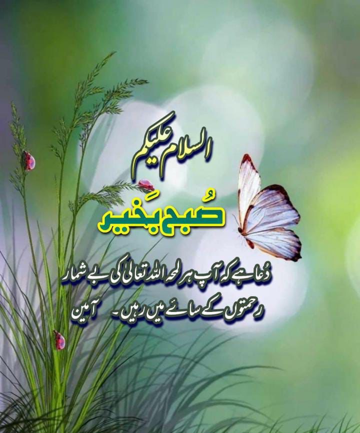 اسلام علیکم 
Good morning 🌅 have a good day