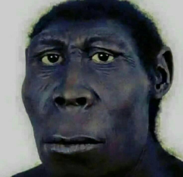 Sayles_Ent tweet media