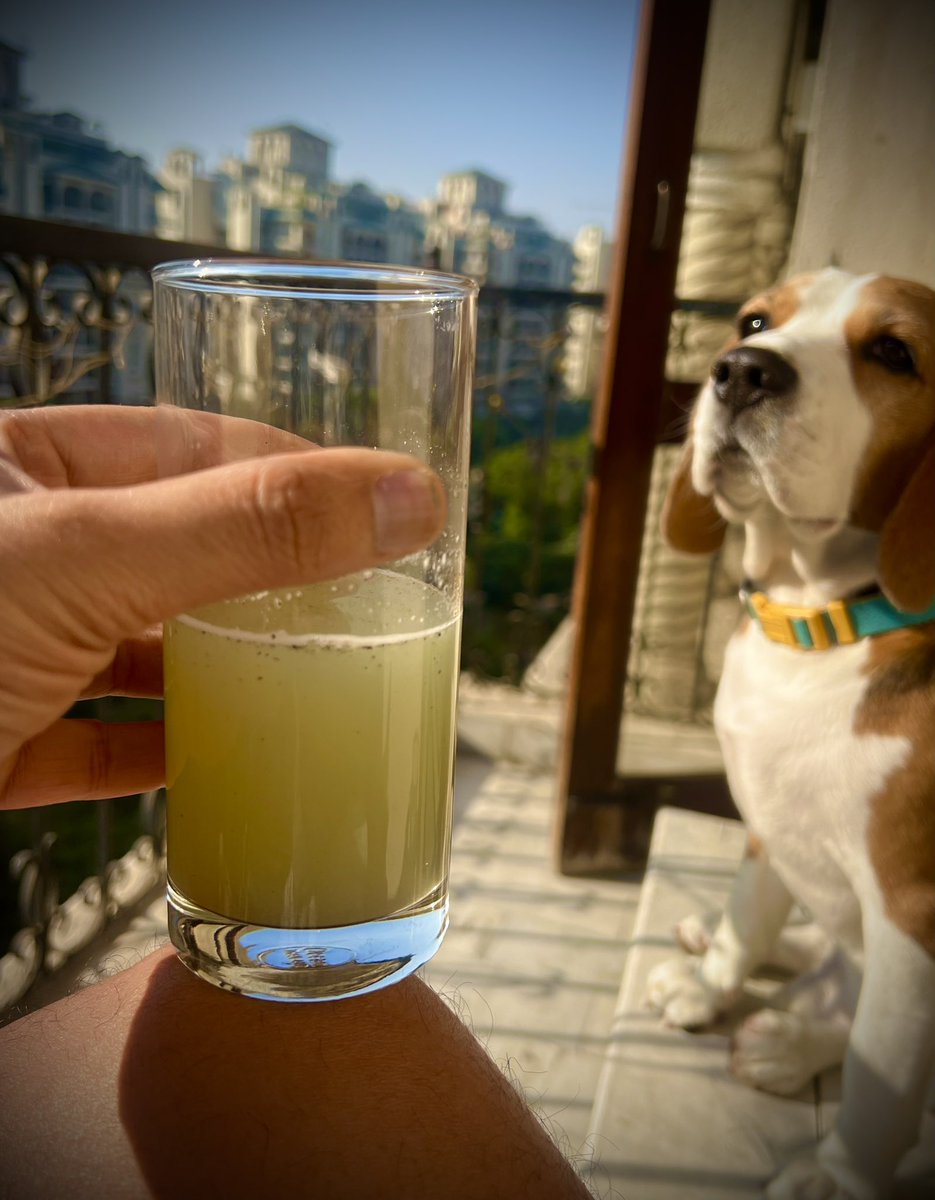ShivAroor's tweet image. Have started drinking amla juice first thing in the morning 🤮🤮🤮