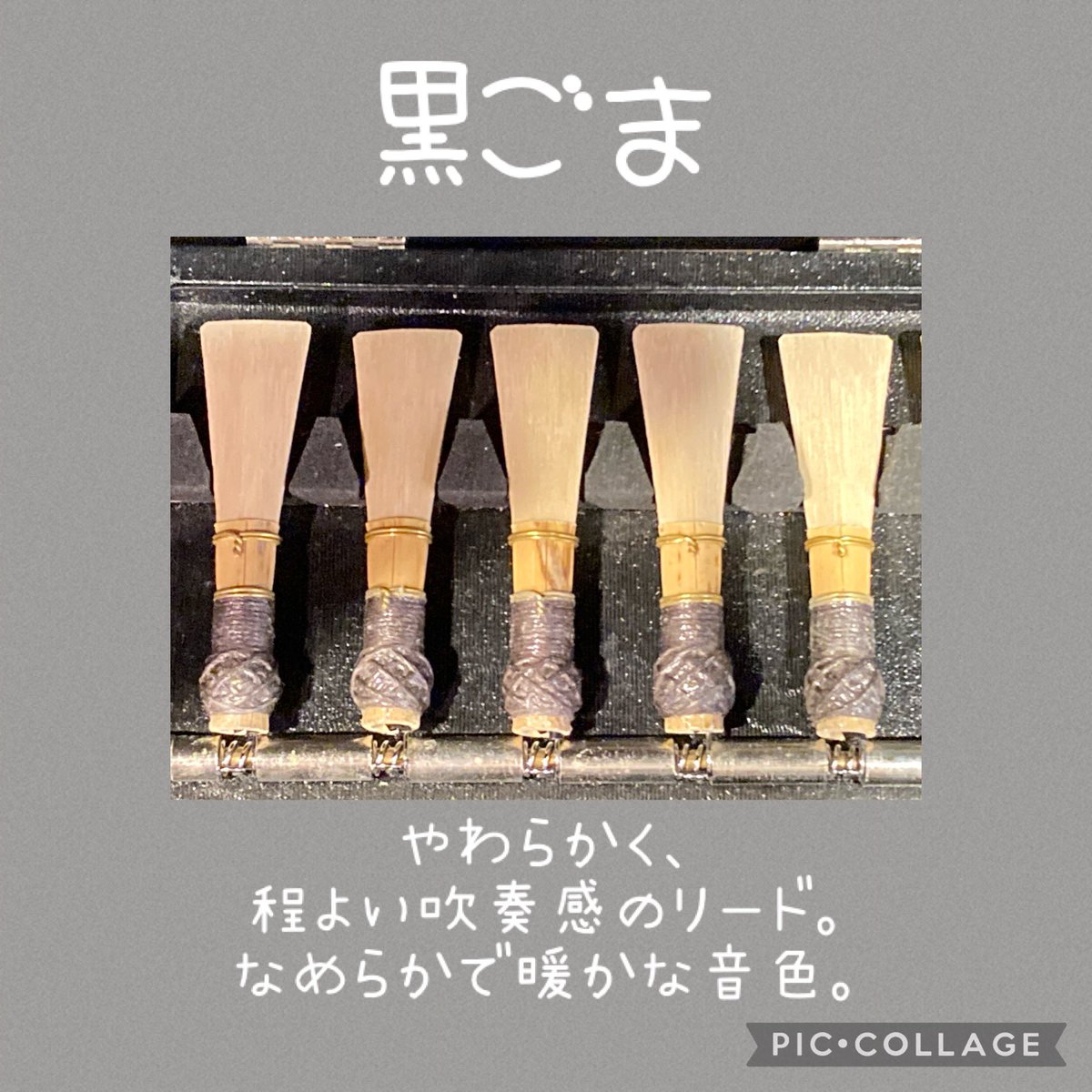 ファゴットリード ジュエルリード3種類セット ファゴットリード ジュエルリード 3種類セット 楽器・機材