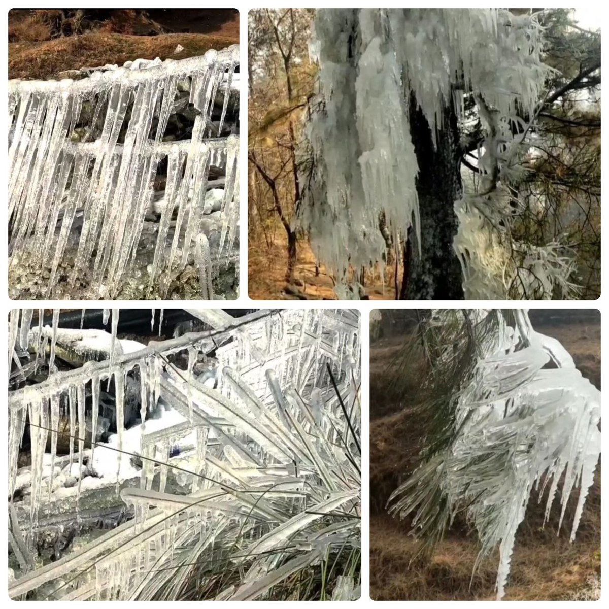 ddnewsSrinagar's tweet image. Sub-zero temperatures grip Kashmir; Zojila freezes at -19°C.

Icy grasp tightens on Kashmir as temperatures plunge across the valley. 

#KashmirWinter #SubZeroTemperatures #ZojilaFreezes
#SevereColdConditions