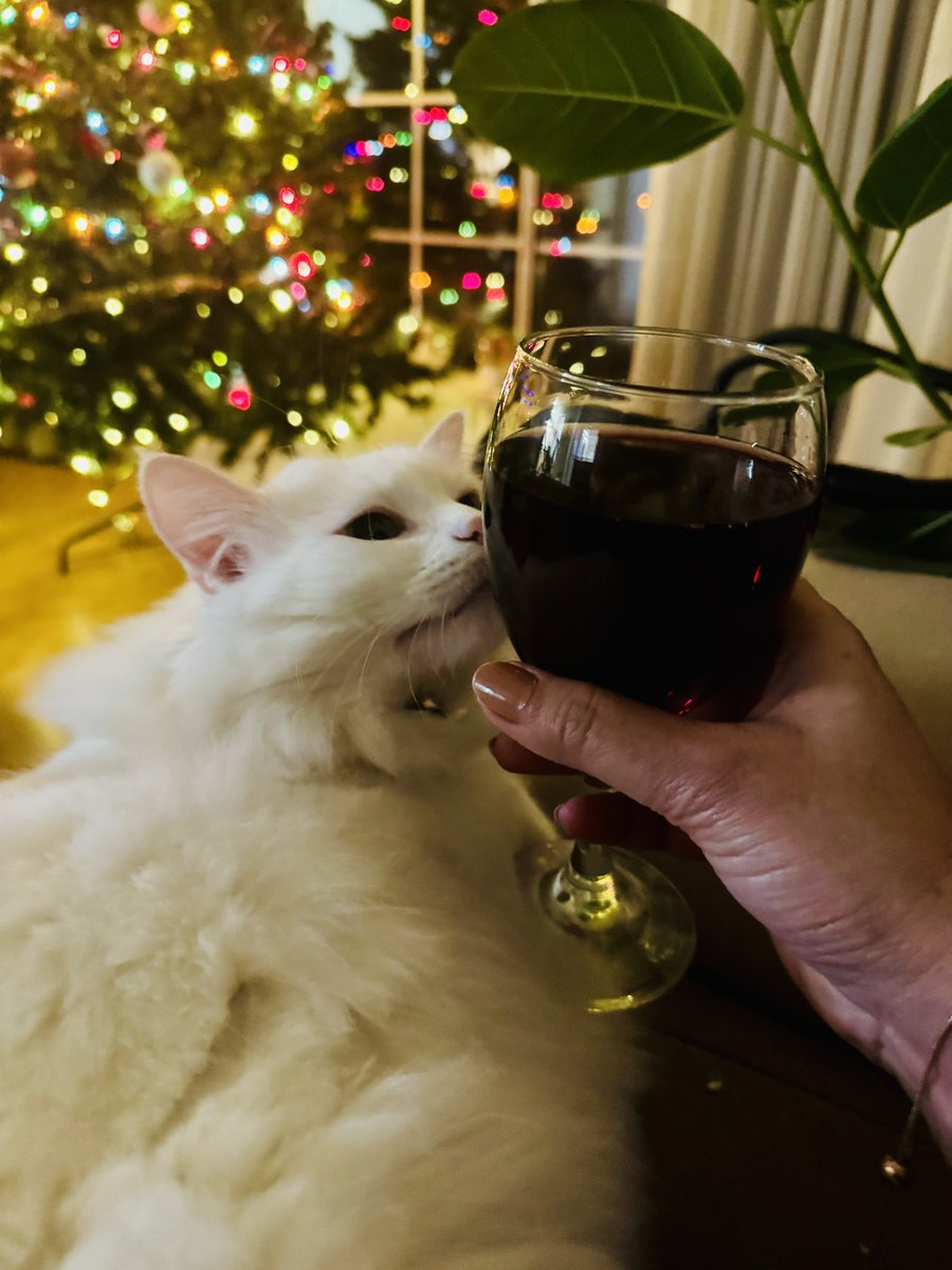 FugaciousOne's tweet photo. Friday… Yay!!
Morning tea, evening tea to Blueberry wine
#TGIF
#Fridaying https://t.co/u1KzLSHsnv