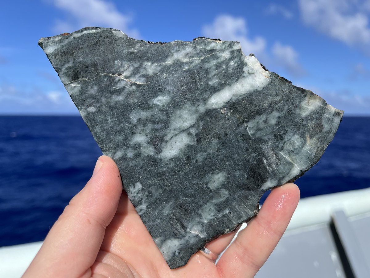 Plagioclase peridotite from the Mariana Trench- a Rosetta Stone for decoding thermal history and oxygen fugacity conditions in the mantle