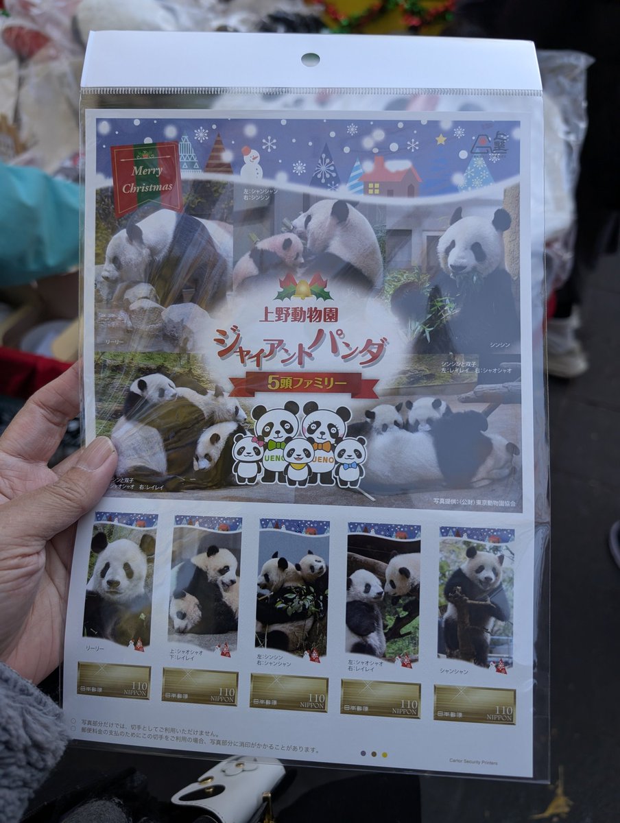 上野動物園 ジャイアントパンダ 5頭ファミリー 切手 ポストカード
