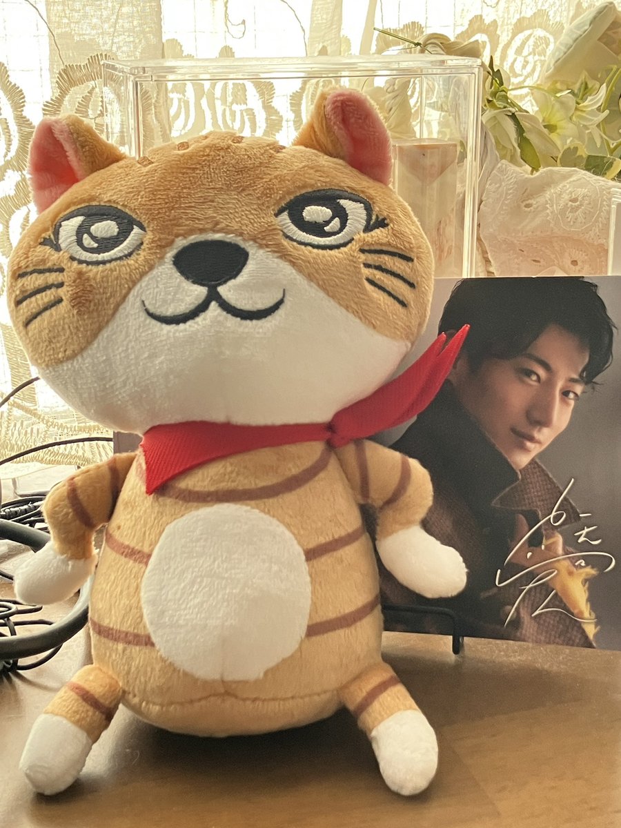 くりおねちゃん˙˚ʚ♡ɞ˚˙専用ぬいちゃん もっち on X