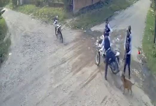 MP_Honduras's tweet photo. MP presenta requerimiento fiscal contra policía por maltrato animal en Choluteca https://t.co/RhzcECk5cq