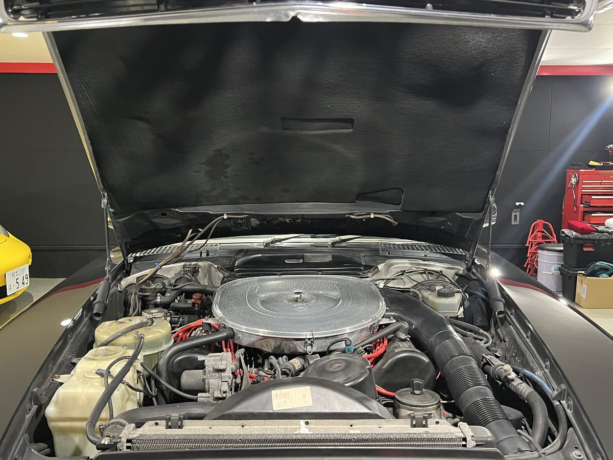 UCCI549's tweet photo. 先日、磨き入れたベンツ☺️
某社長オーナーからの委託にて
メルセデスベンツ560SL
売ります!
気になる方は詳細を教えますので
DMください。
#ブルMレーシング
#メルセデスベンツ売ります
#クラシカルベンツ
#1987年式
#560SL https://t.co/A17aXR2S1a