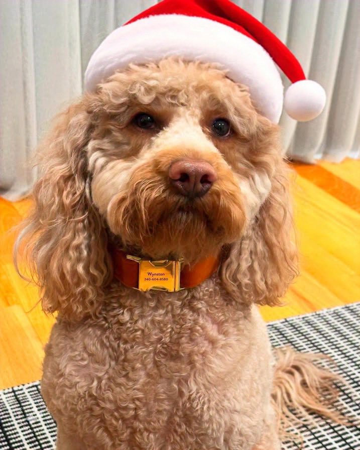 Entering the weekend… Feeling festive