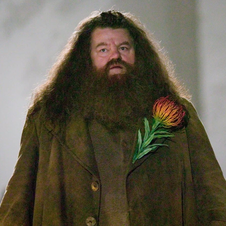 FilmUpdates's tweet photo. Brett Goldstein is rumored for the role of Hagrid in HBO’s ‘HARRY POTTER’ TV series.

(Source: https://t.co/zKFoJXTPIl) https://t.co/WO1Mlzwwcg