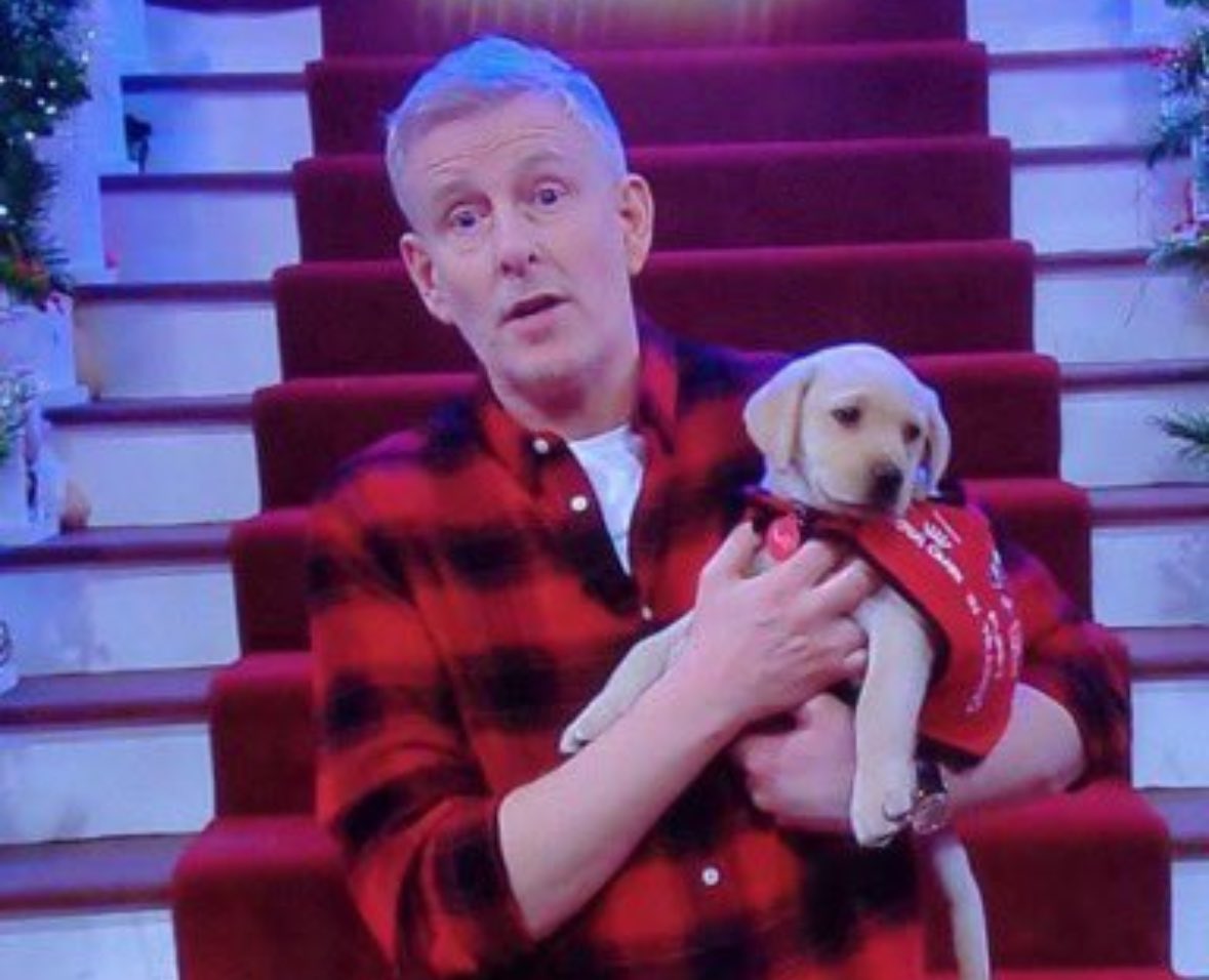 FrTedQOTD's tweet photo. "Oh no, what's this? It's a little puppy with a broken paw. I'd better go home and nurse it back to health. Goodbye, everybody." #LateLateToyShow https://t.co/AJUzcqfENy
