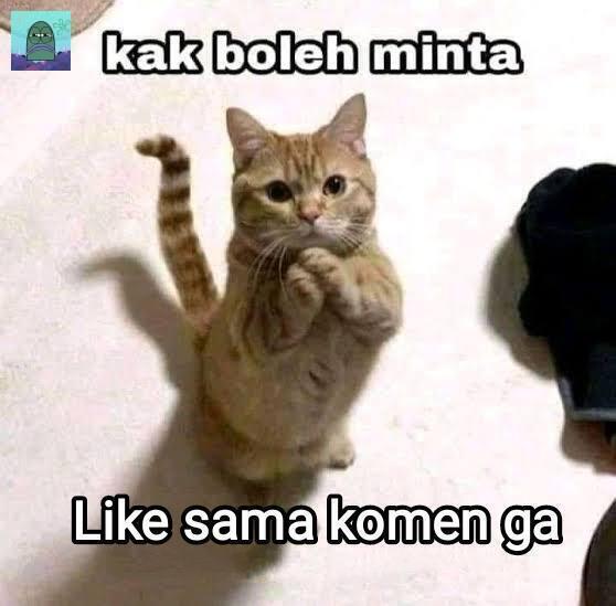 Tanyarl 💚 tweet media