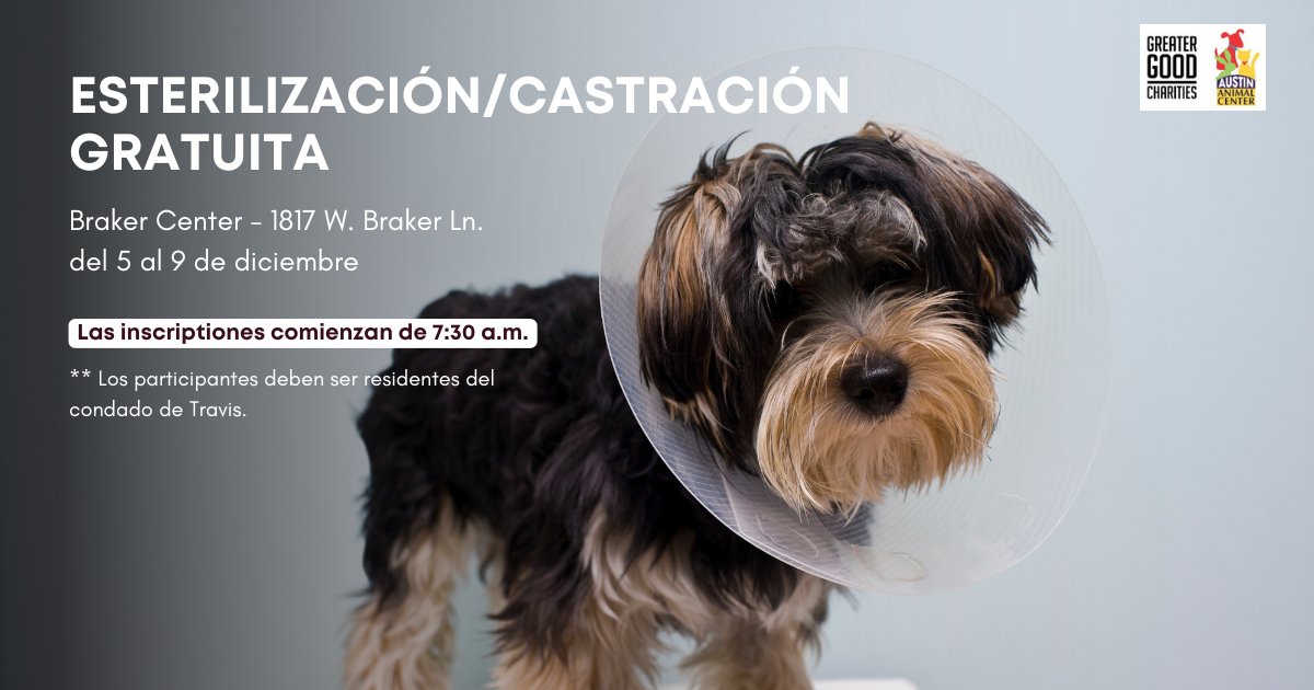 ¡Ahorra cientos de dólares en nuestras clínicas de castración gratuitas! 🐶🐱

📅 Hasta el 9 de diciembre.

⏰ La inscripción comienza a las 7:30 de la mañana. El primero en llegar es el primero en ser atendido.

📍Braker Center (Edificio F), 1817 W. Braker Ln.