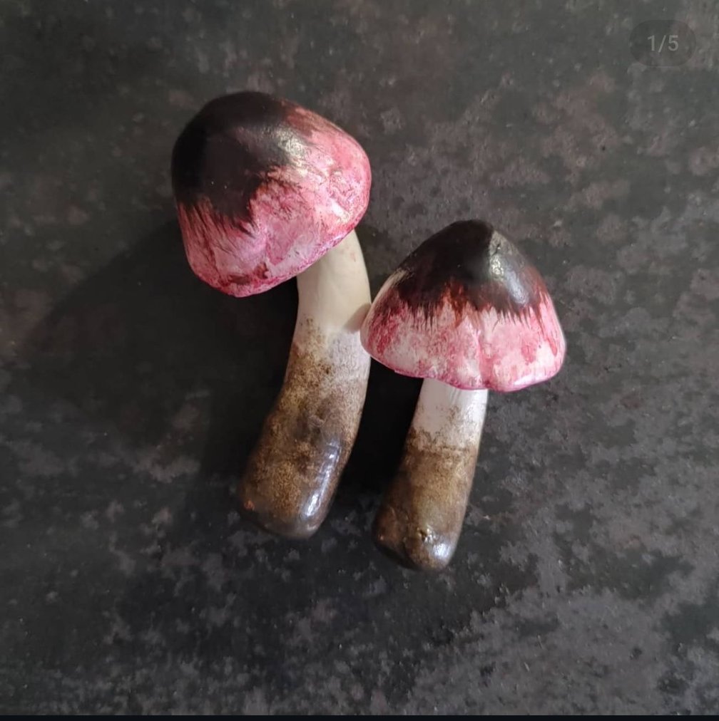 TheLadyGoatess's tweet photo. Elder Scrolls Ornaments Day 6: Bleeding Crown

I do love a good mushroom. Lucky for me they're abundant in the Elder Scrolls universe.

#TESOonline #ESOFam #ElderScrollsOnline https://t.co/Pz1vv08a15