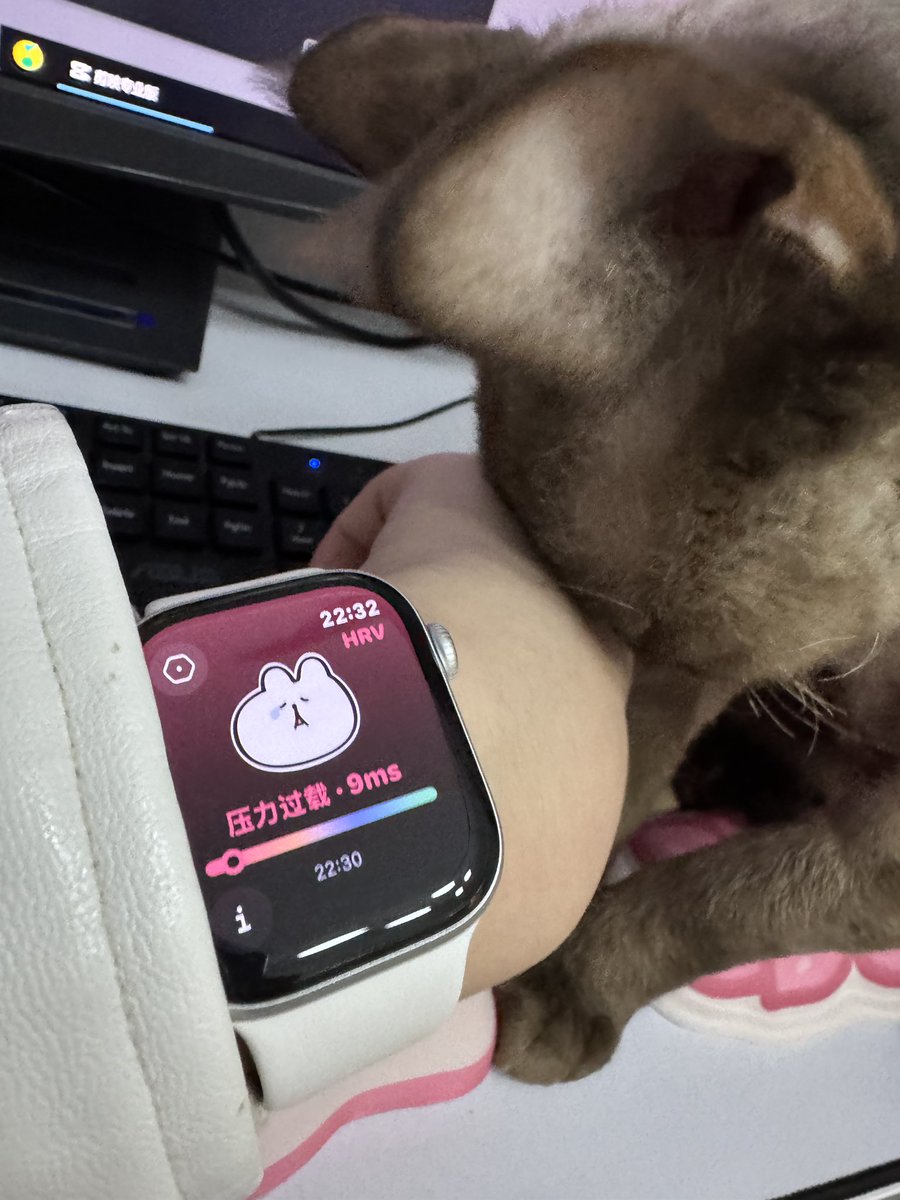 caitlin_nomnom's tweet photo. 天天压力过载，还好有猫猫 https://t.co/xi0n5lRIY1