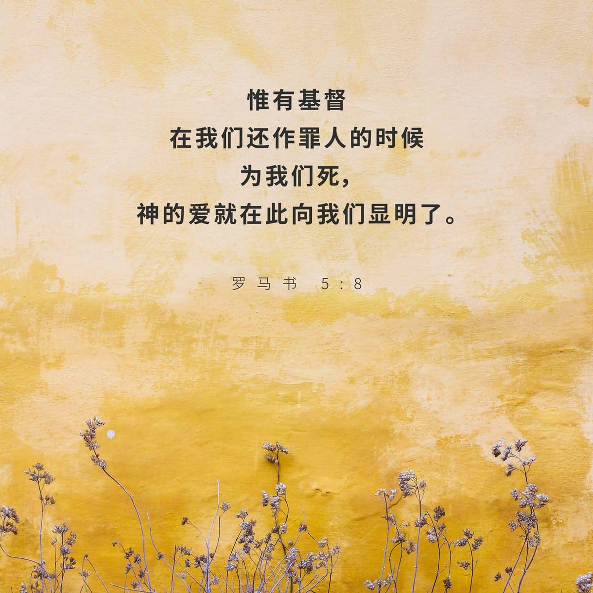 Jetfuchin1's tweet photo. https://t.co/oZPAkvcMnc https://t.co/laN7aL5HQe