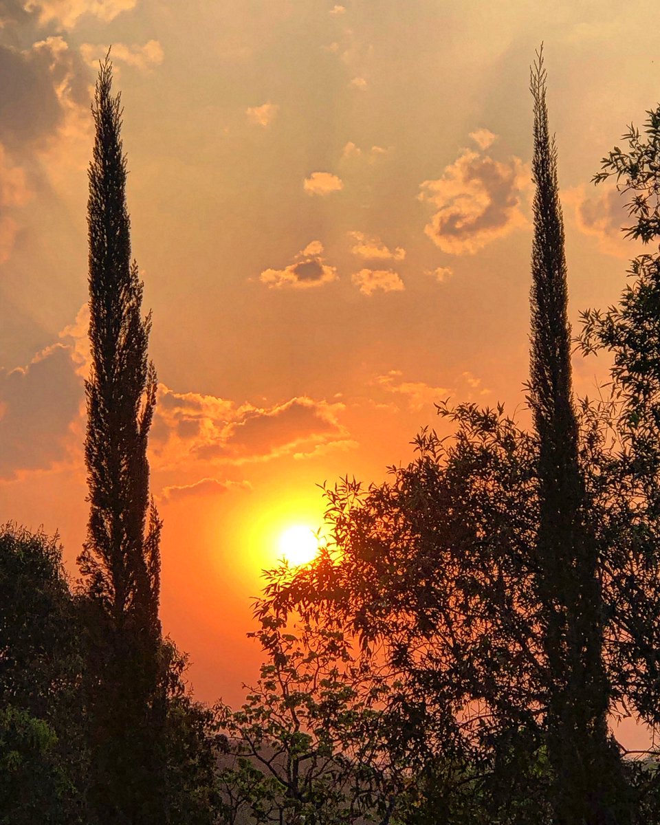 DaniloA08106919's tweet photo. O céu é o limite de um sol ilimitado.
#sunset #sunsetphotography #pôrdosol #nature #natureza #naturephotography #primavera #soldeprimavera #céudeprimavera #fotografia #photography #semfiltro #nofilter https://t.co/97lPaRYpJn