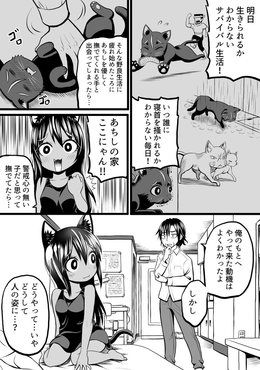 ねこがハンランする話1(2/4) 