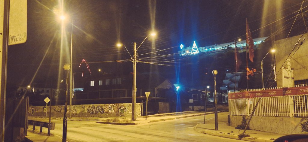 El pino de la ULS y el Pino de la Colina #LaSerena