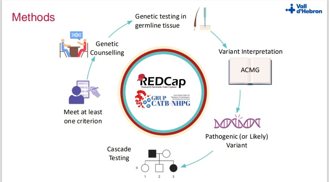 Germline Workshop🧬 at #ASH24
📢Excited to share <a href="/st_esquius/">Sara</a> from <a href="/Hemato_Vhebron/">Hematologia - Hospital Universitari Vall d'Hebron</a> presenting:
"Performance and Clinical Utility of Germline Genetic Testing Criteria for Predisposition to Myeloid Neoplasms in Adults"
📊 Featuring data from multiple centers in our group!
