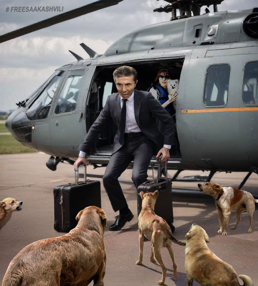 Nugzar Metreveli 🇬🇪 🇺🇦 (@metrevelinugzar) on Twitter photo 