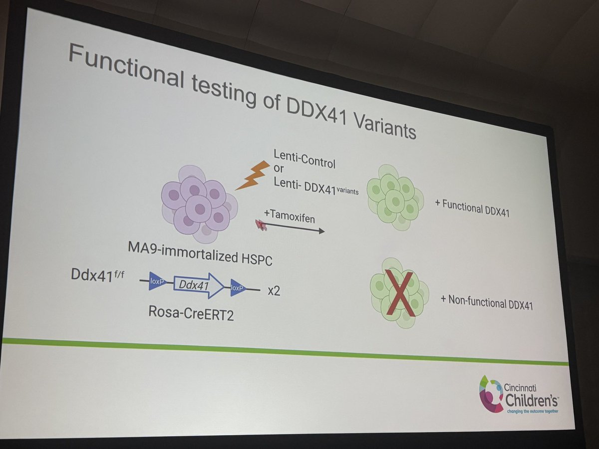 tchlon's tweet photo. It never gets old - getting on the stage at ASH to present my lab’s work is a thrill that I have had the pleasure to live again. #ASH24 https://t.co/6KMK9OtvZ4