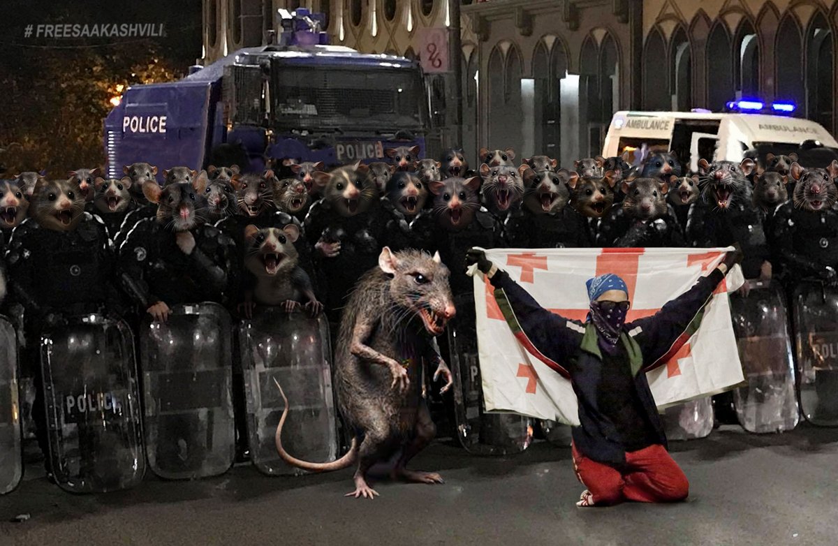 Nugzar Metreveli 🇬🇪 🇺🇦 (@metrevelinugzar) on Twitter photo 