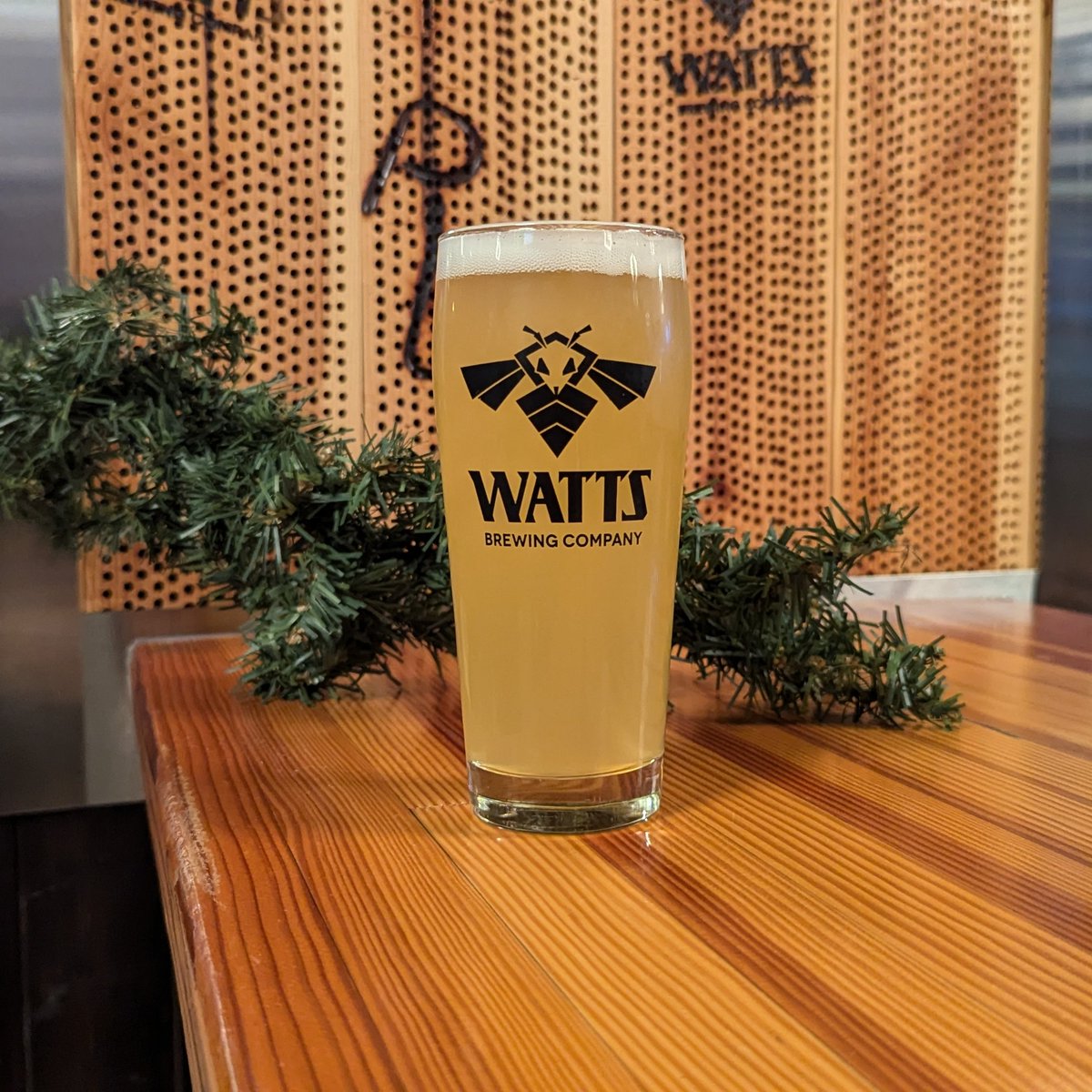 Our next Field Trials beer is here!  It's a wheat lager, which is ... not exactly a style, but a beer we're really excited about!  It's a pale lager loosely inspired by helles or German pils, but brewed with malted wheat and Saphir hops.