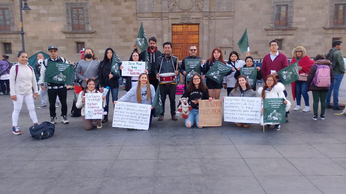 Raul Aldama tweet media