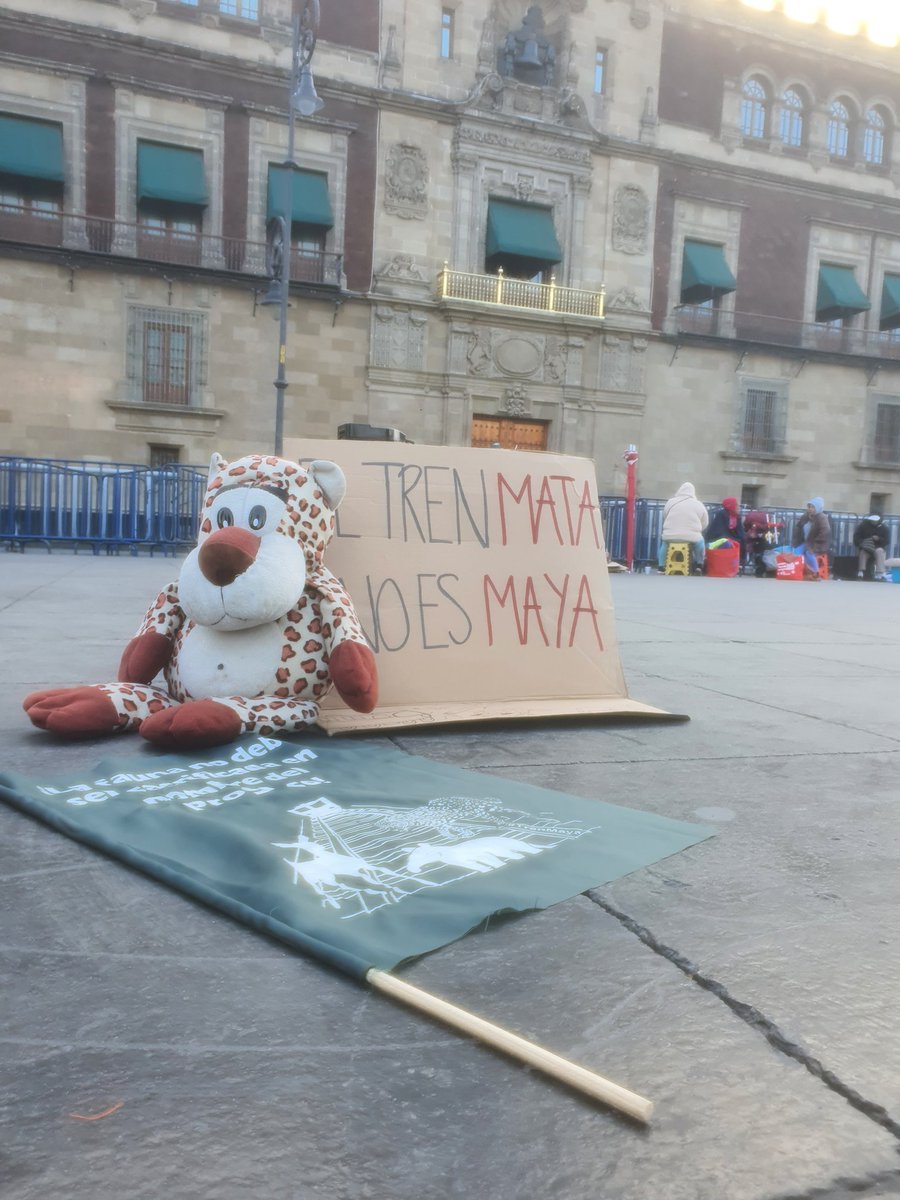 Raul Aldama tweet media