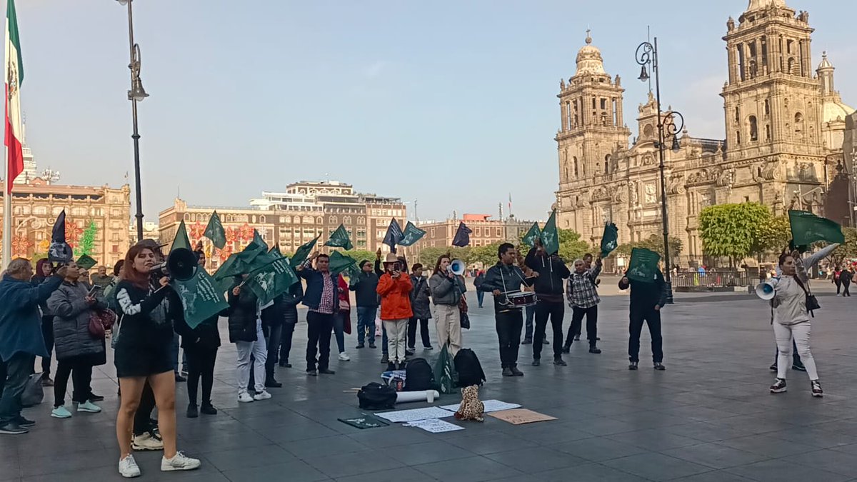 Raul Aldama tweet media