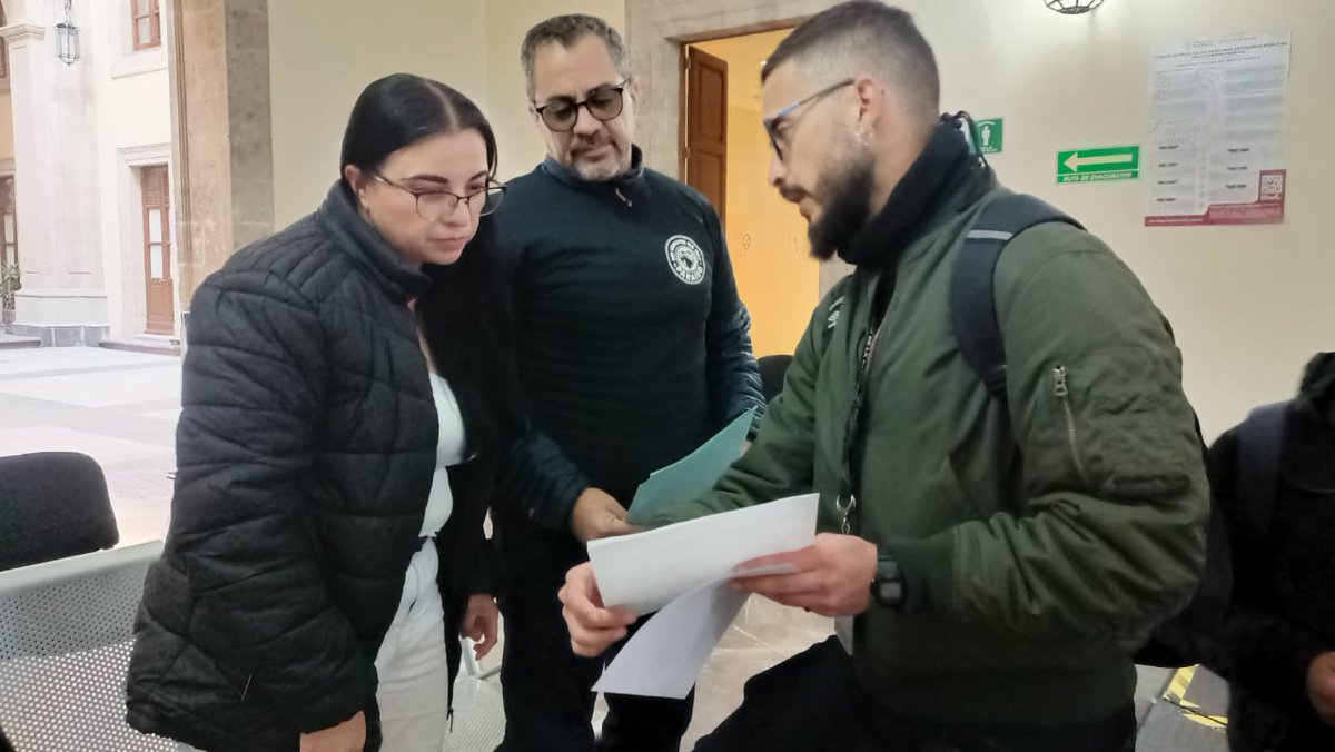 Después de desmontar la selva y fragmentar el hábitat de miles de especies, ahora se les ocurrió   clasificar como FAUNA NOCIVA para el <a href="/TrenMayaMX/">Tren Maya</a>, a especies en riesgo, confome a la NOM-059-SEMARNAT-2010. Es un descaro total y la <a href="/SEMARNAT_mx/">SEMARNAT México</a> <a href="/PROFEPA_Mx/">PROFEPA</a> de floreros?