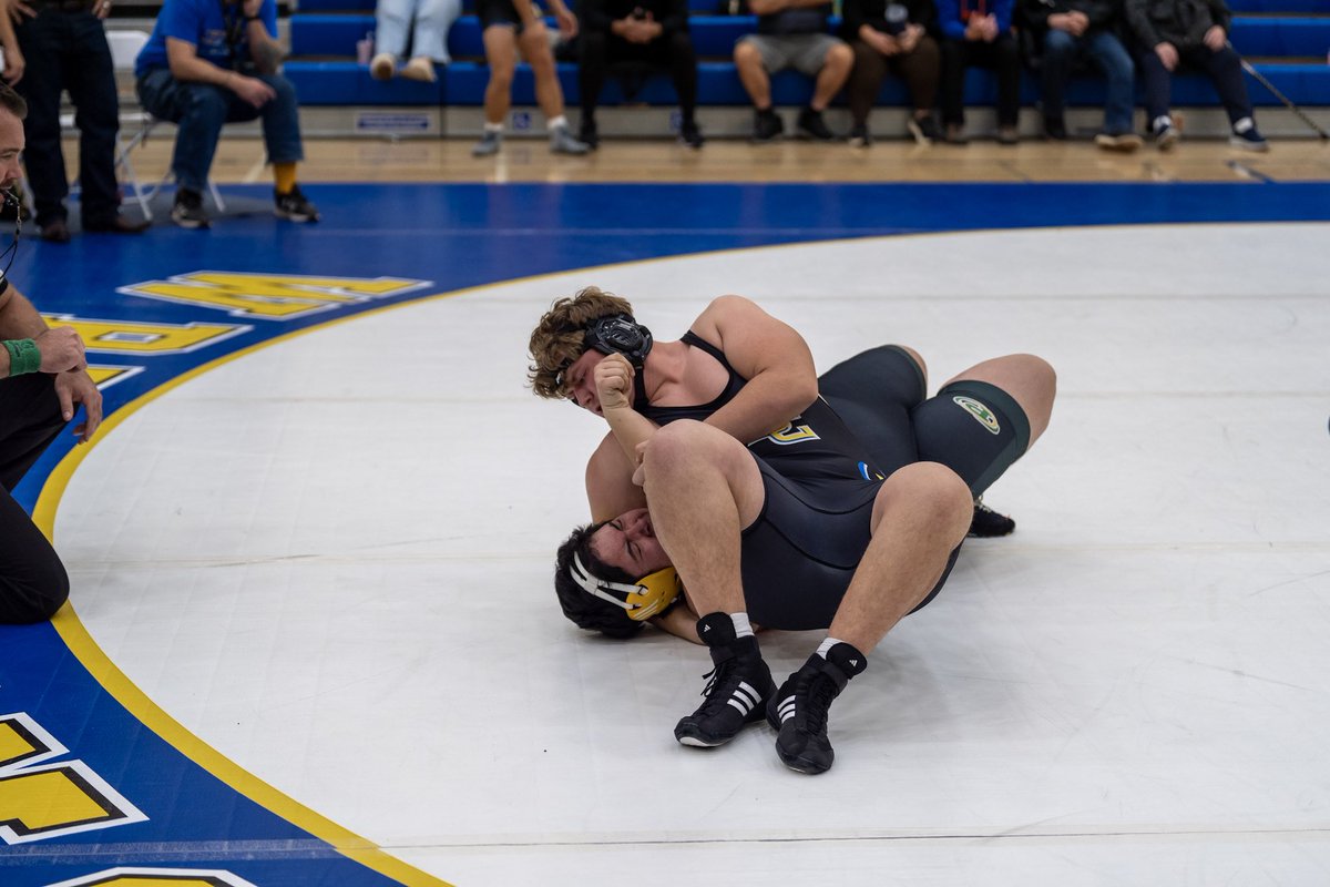 Monica Shields tweet media