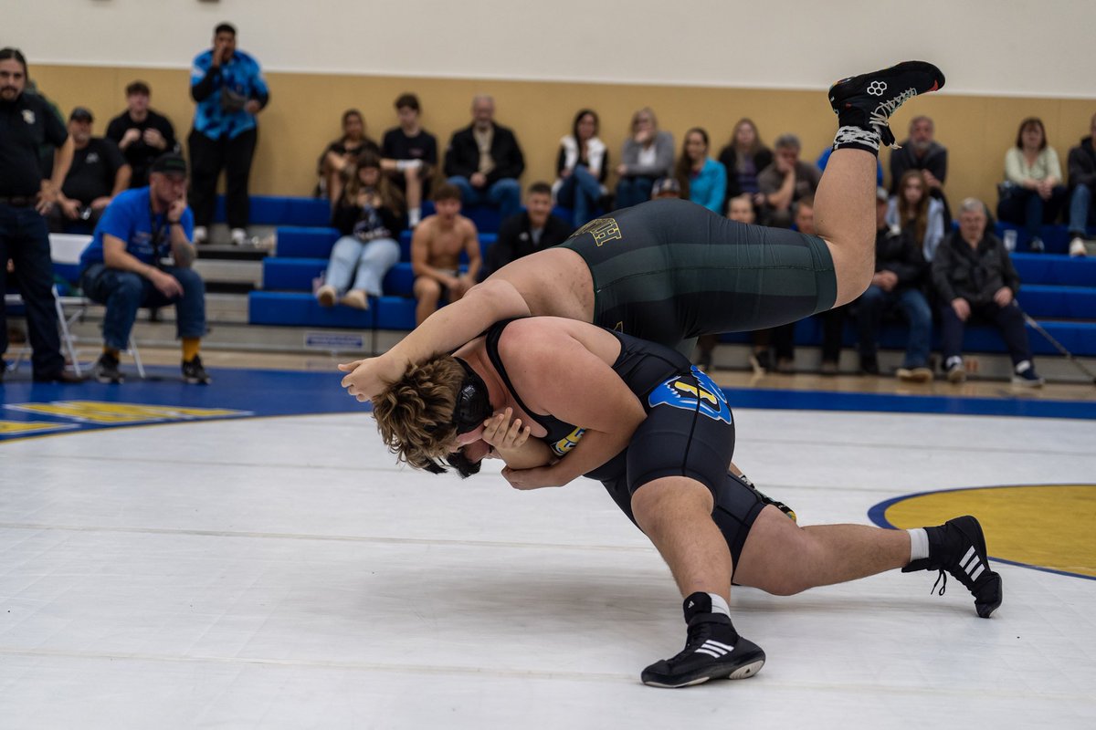 Monica Shields tweet media