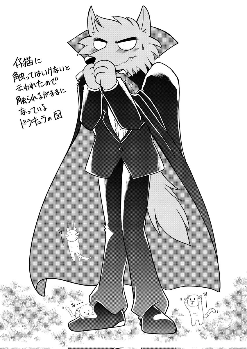他にも野良猫にはノミやバイ菌などが付着している場合があるので触ったら必ず石鹸で手を洗いましょう

#Vawパイア 
#ヴァンパイア 
#吸血鬼 