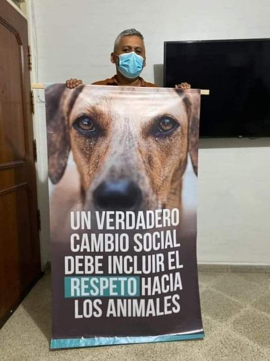 Buenas noches ✨💖