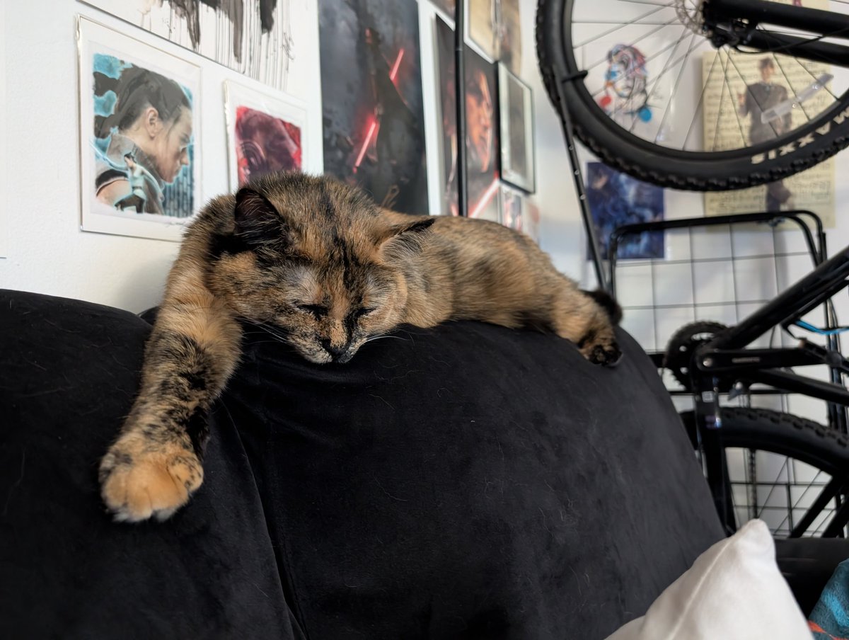 DanversMohawk's tweet photo. @Cat_Cosplay Sending you and your family positive thoughts https://t.co/7uNv17r9Pb